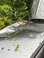 Bild: Unfall bei Nordhausen