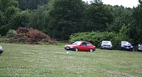 Ford-Treffen Bild: Ford-Treffen