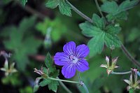 Unterwegs in Wald und Wiese Bild: Unterwegs in Wald und Wiese