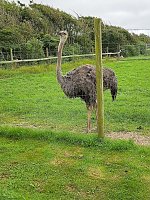 Urlaub in Dänemark Bild: Urlaub in Dänemark