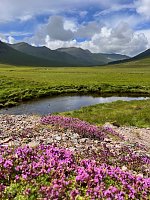 Isle of Skye in Schottland Bild: Isle of Skye in Schottland