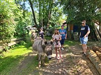 Bild: Kinder- und Familienfest in Rodishain 