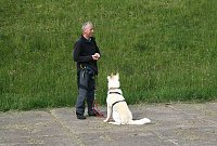 Bild: Therapie-Hunde am Stausee Kelbra