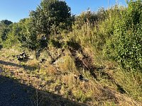 Bild: Schwerer Unfall auf der A38