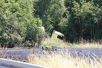Bild: Unfall mit t&ouml;dlichem Ausgang