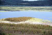 Bild: Peter Blei unterwegs am Stausee Kelbra 
