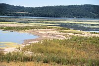 Bild: Peter Blei unterwegs am Stausee Kelbra 