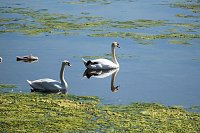 Bild: Peter Blei unterwegs am Stausee Kelbra 