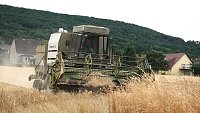 Bei der Ernte Bild: Bei der Ernte