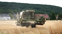Bei der Ernte Bild: Bei der Ernte