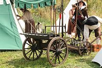 Bild: Kanonendonner auf der Pfalz Tilleda