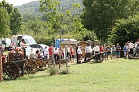 Bild: Kanonendonner auf der Pfalz Tilleda