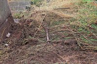Tödlicher Unfall am Vormittag Bild: Tödlicher Unfall am Vormittag