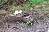 Tödlicher Unfall am Vormittag Bild: Tödlicher Unfall am Vormittag