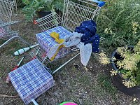 Picknick und Performance - die CircusMühle Kelbra lud am Wochenende zum gemütlichen Beisammensein Bild: Picknick und Performance - die CircusMühle Kelbra lud am Wochenende zum gemütlichen Beisammensein