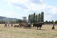 Nachstellung der Bauernschlacht bei Bad Frankenhausen Bild: Nachstellung der Bauernschlacht bei Bad Frankenhausen