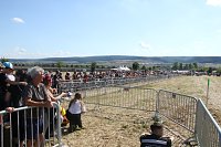 Nachstellung der Bauernschlacht bei Bad Frankenhausen Bild: Nachstellung der Bauernschlacht bei Bad Frankenhausen