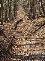 Bild: Impressionen von den  Wanderausfl&uuml;gen der Hainleite-Gruppe. 