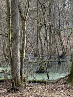 Bild: Impressionen von den  Wanderausfl&uuml;gen der Hainleite-Gruppe. 