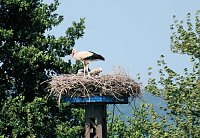 Bild: Impressionen vom Stausee Kelbra