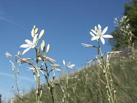 Bild: Gef&uuml;hrte Wanderungen im Naturpark Kyffh&auml;user