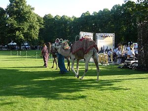 Biwak in Hannover