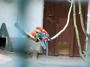 Auf dem Possen