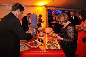 Fr&uuml;hlingsball 2012