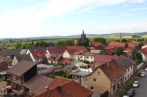 Jungst&ouml;rche werden beringt