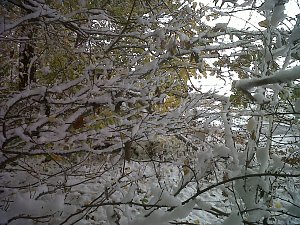 Herbst und Winter