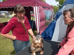 Spezialzuchtschau Hunde auf dem Possen