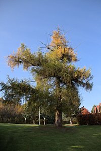 Herbstfarben am Panoramaweg bei Blankenburg