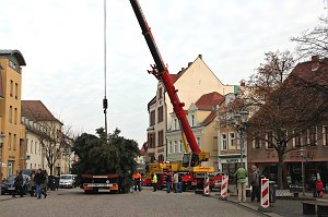 Ziel erreicht. Noch liegt er flach, der Hettstedter Weihnachtsbaum. Aber bereits heute Abend wird er die strahlende Erscheinung sein, ohne die ein weihnachtlich geschm&uuml;ckter Markt undenkbar ist.