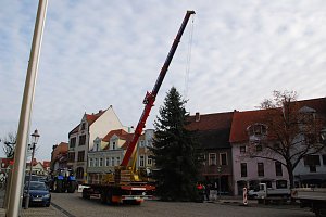 Dank breiter Gurte konnte der Baum vom Kran ohne Besch&auml;digungen aufgerichtet werden. Noch muss er aber mehrmals auf und nieder gehoben werden, um ihn optimal in die F&uuml;hrung gleiten lassen zu k&ouml;nnen.