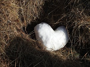 Winterm&auml;rchen in Elbingerode