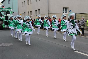 N&auml;rrinnen und Narren trotzen Wetter (1)