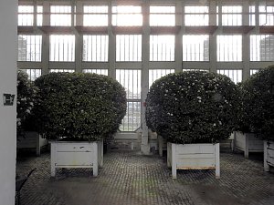 Peter Blei zu Besuch auf Schloss Oranienbaum