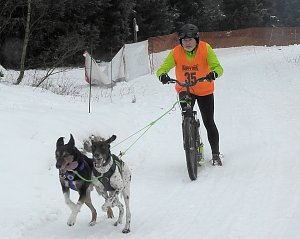Schlittenhunderennen 2016 in Benneckenstein