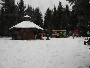 Schlittenhunderennen 2016 in Benneckenstein
