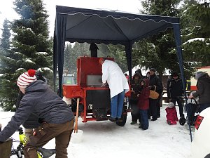 Schlittenhunderennen 2016 in Benneckenstein