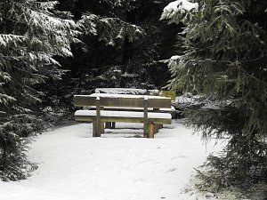Schlittenhunderennen 2016 in Benneckenstein