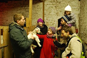 Ziegen sind recht scheu. Streicheleinheiten m&ouml;gen sie aber dennoch. Und viele Menschen m&ouml;gen es ihrerseits, Ziegen zu streicheln, ganz besonders dann, wenn sie so niedlich wie dieses Ziegenbaby sind.
