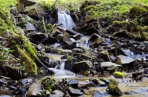 Unterwegs im Naturpark S&uuml;dharz