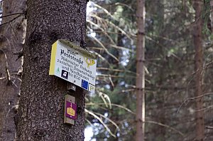 Unterwegs im Naturpark S&uuml;dharz