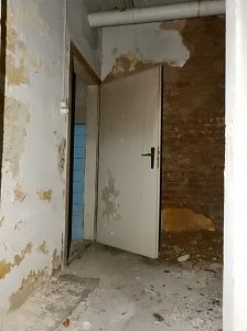 Villa im Harz