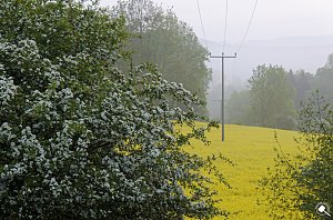 Wanderung im Morgengrauen