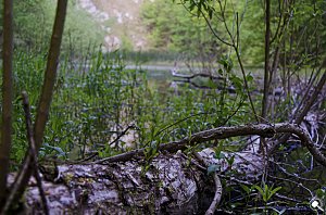 Wanderung im Morgengrauen