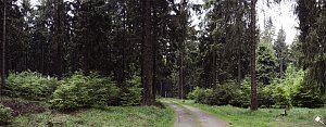 Wandergr&uuml;&szlig;e aus Rothes&uuml;tte