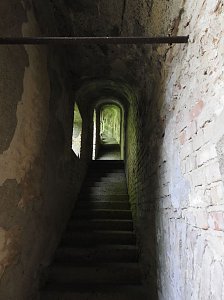 Die Rosenburg