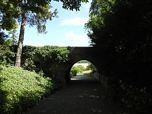 Die Rosenburg